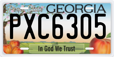 GA license plate PXC6305