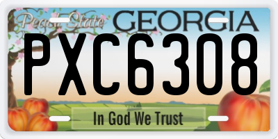 GA license plate PXC6308