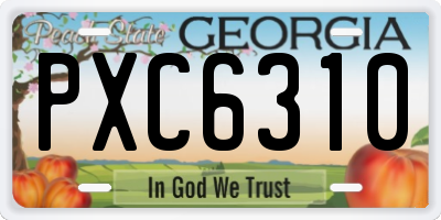 GA license plate PXC6310