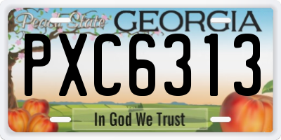 GA license plate PXC6313