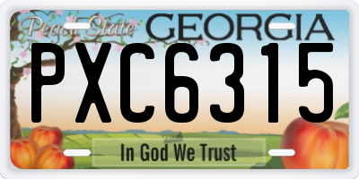 GA license plate PXC6315