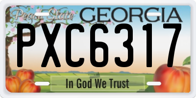 GA license plate PXC6317