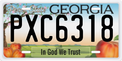 GA license plate PXC6318
