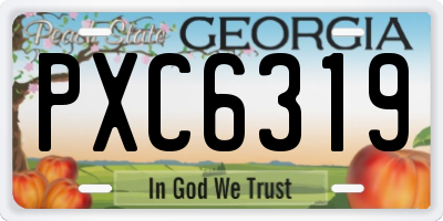 GA license plate PXC6319