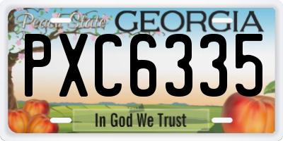 GA license plate PXC6335