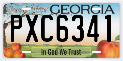 GA license plate PXC6341