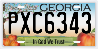 GA license plate PXC6343