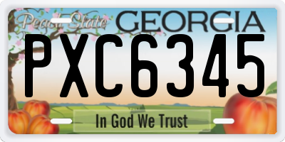 GA license plate PXC6345