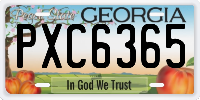 GA license plate PXC6365