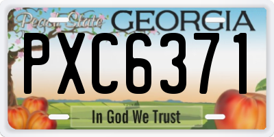 GA license plate PXC6371