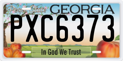 GA license plate PXC6373