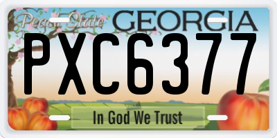 GA license plate PXC6377