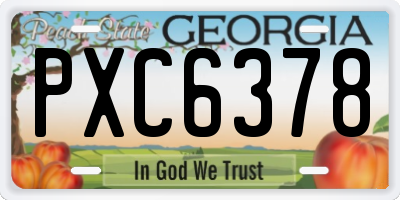 GA license plate PXC6378