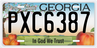 GA license plate PXC6387