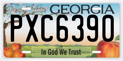 GA license plate PXC6390