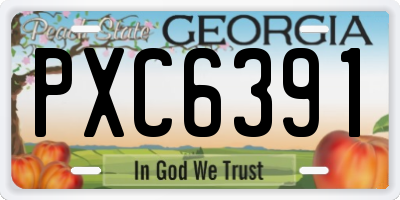 GA license plate PXC6391