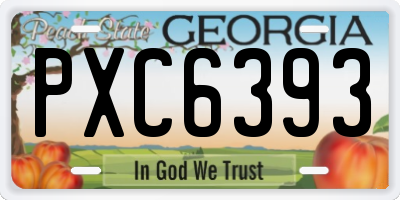 GA license plate PXC6393