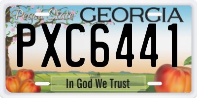 GA license plate PXC6441