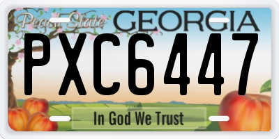 GA license plate PXC6447