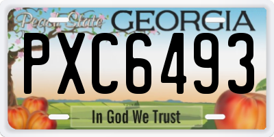 GA license plate PXC6493