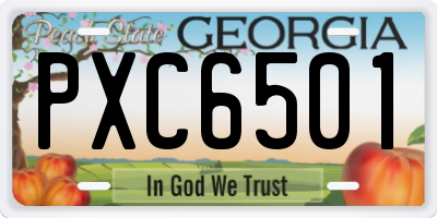 GA license plate PXC6501