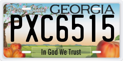 GA license plate PXC6515