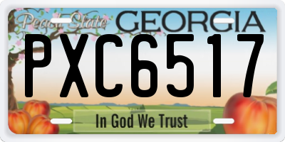 GA license plate PXC6517