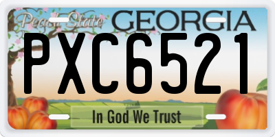 GA license plate PXC6521