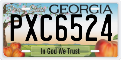 GA license plate PXC6524