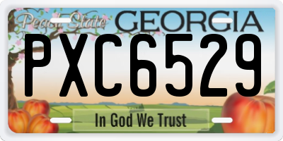 GA license plate PXC6529