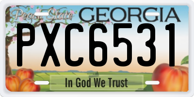GA license plate PXC6531