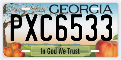 GA license plate PXC6533