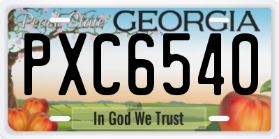 GA license plate PXC6540