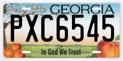 GA license plate PXC6545