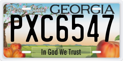 GA license plate PXC6547