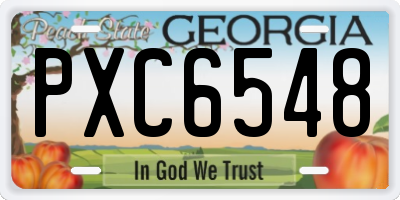 GA license plate PXC6548