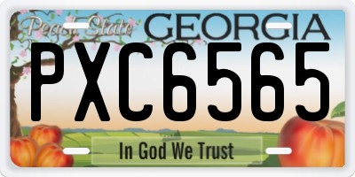 GA license plate PXC6565