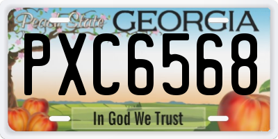 GA license plate PXC6568