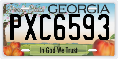 GA license plate PXC6593