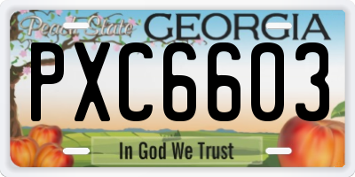 GA license plate PXC6603
