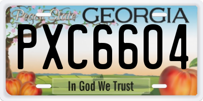 GA license plate PXC6604