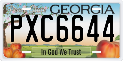 GA license plate PXC6644