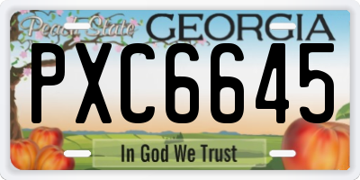 GA license plate PXC6645
