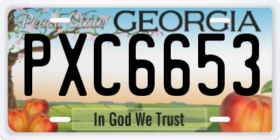 GA license plate PXC6653