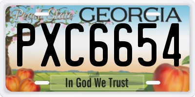 GA license plate PXC6654