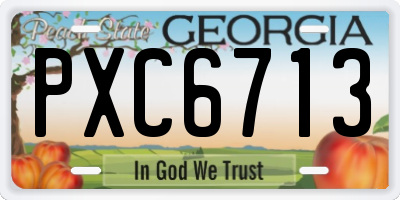 GA license plate PXC6713