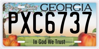 GA license plate PXC6737
