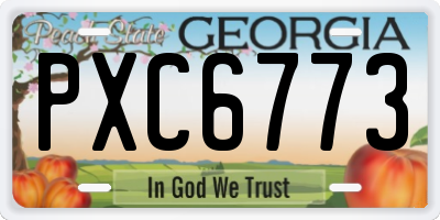 GA license plate PXC6773