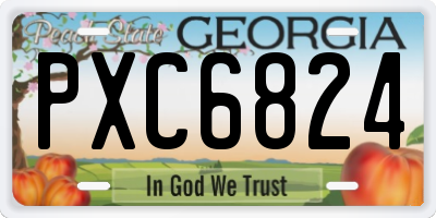 GA license plate PXC6824