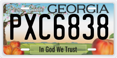 GA license plate PXC6838